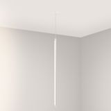 d_DL-12400-0778.jpg