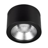 b_DL-12400-0324.jpg