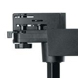 d_32520.jpg