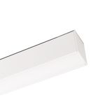 e_DL-12600-0293.jpg