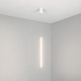 b_DL-12400-0719.jpg