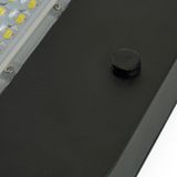 d_48758.jpg