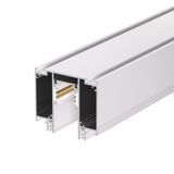 c_DL-01100-0216.jpg