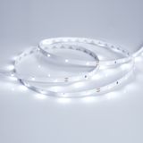 d_DL-06900-0097.jpg