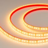 e_DL-06900-0381.jpg