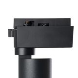 e_41614.jpg