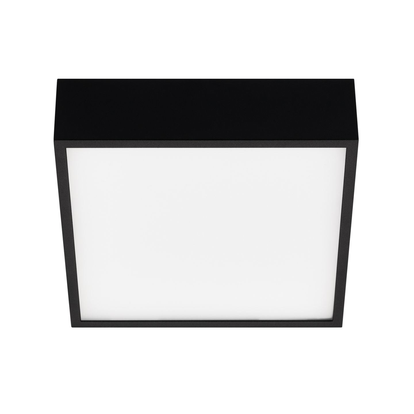 e_DL-04200-0001.jpg