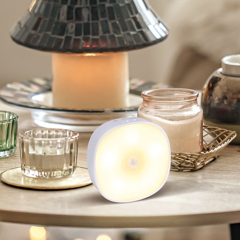 a_DL-07-1305.jpg