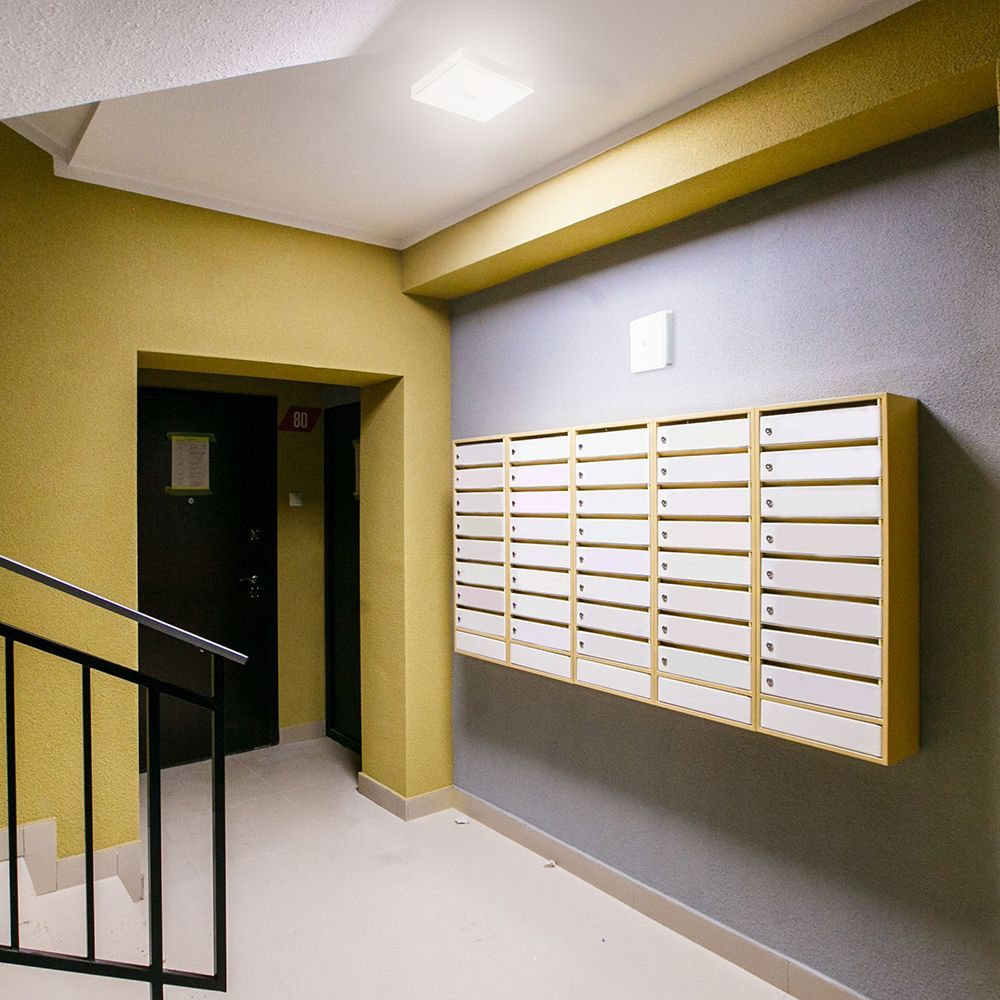 e_41805.jpg
