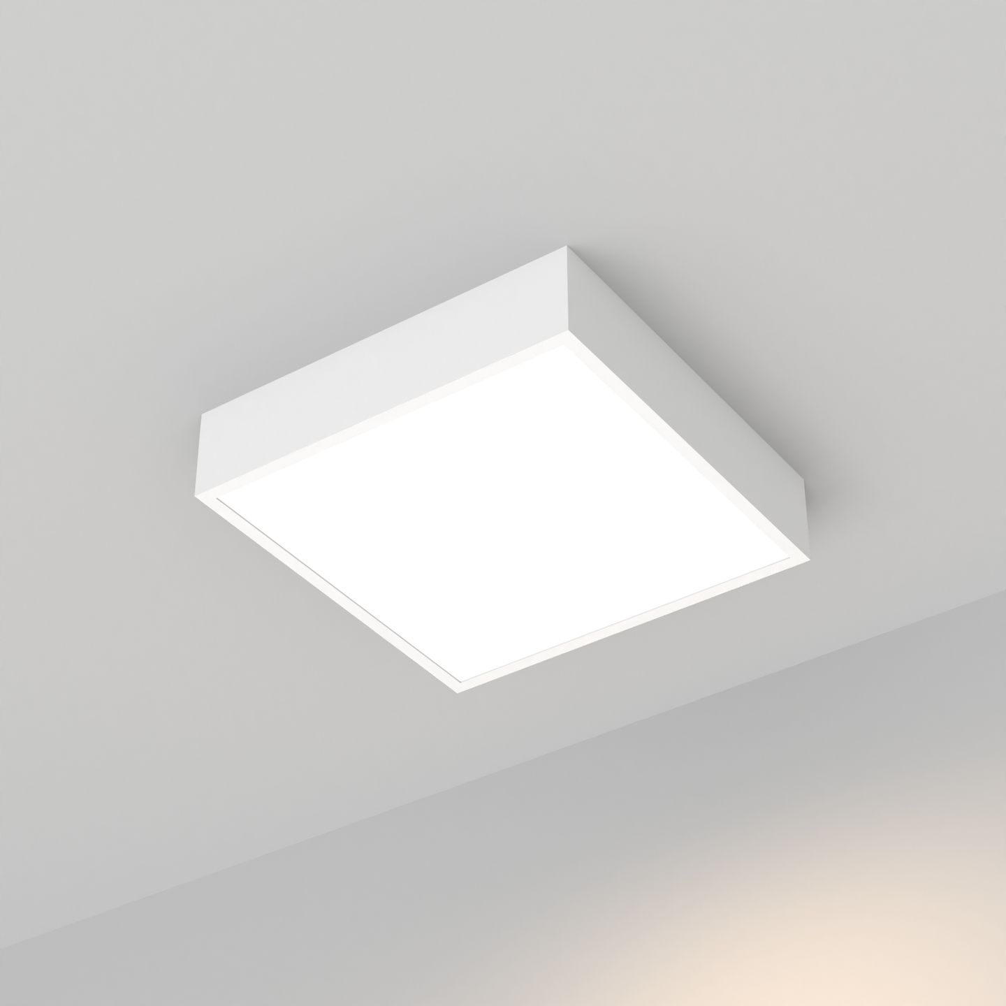 d_DL-04900-0010.jpg