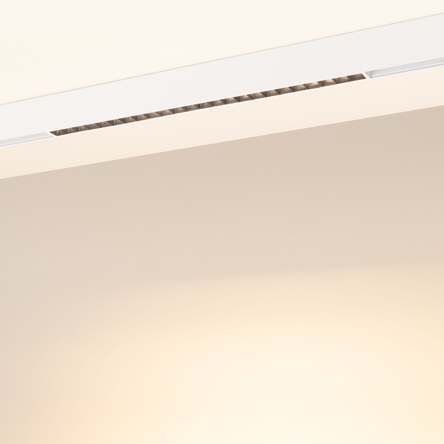 d_DL-12600-0555.jpg