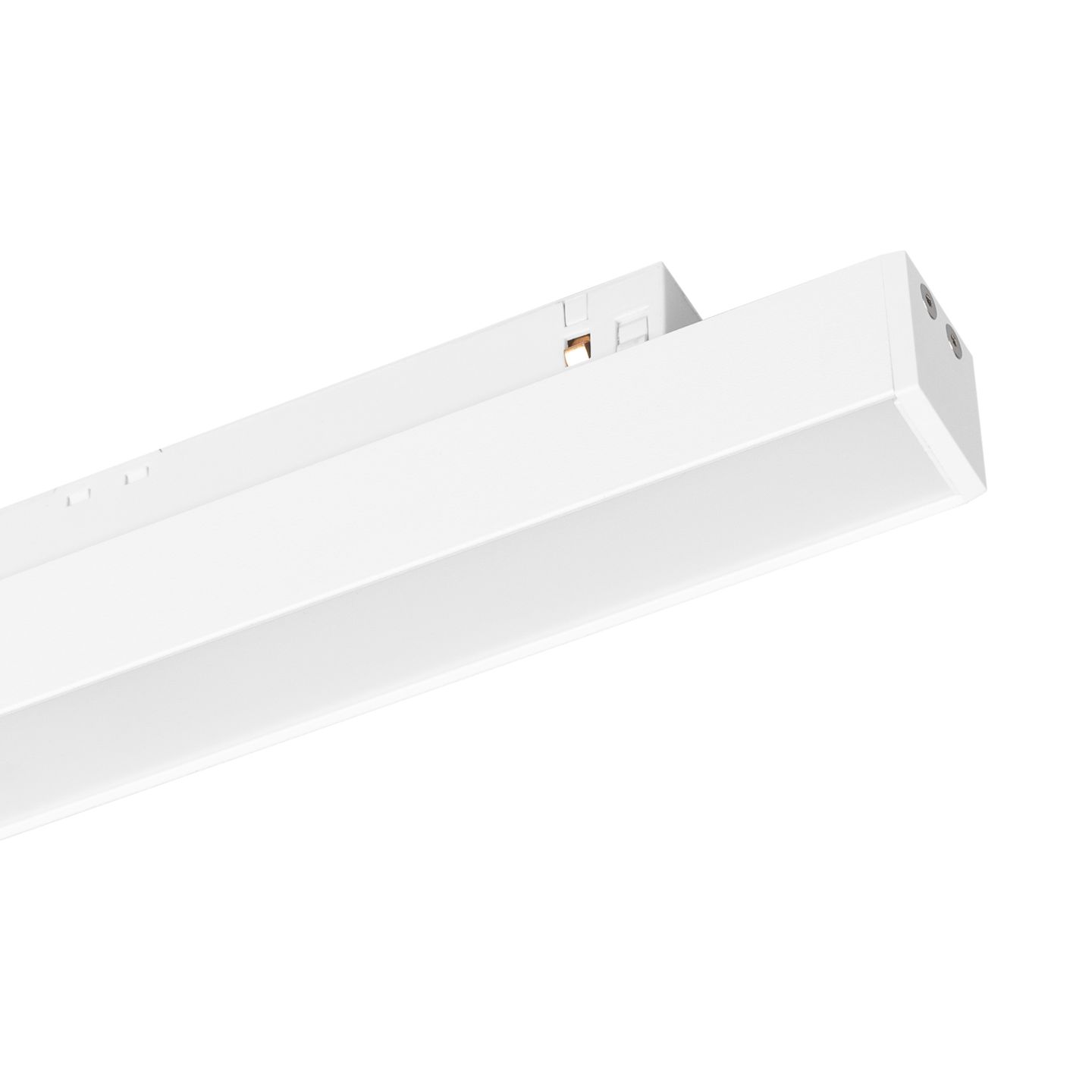 b_DL-12600-0508.jpg