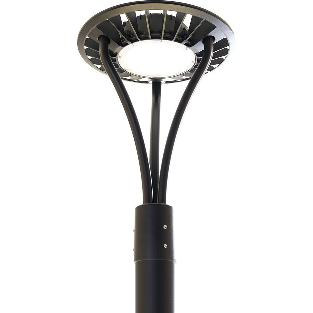 b_48336.jpg